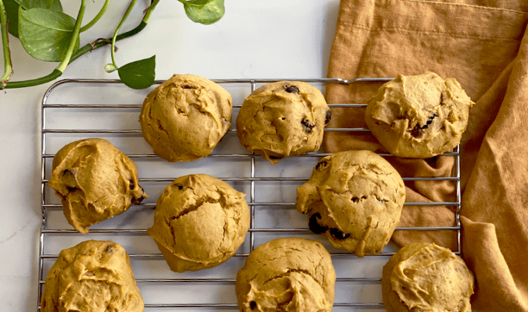 “Sans gluten Pumpkin Treats with Chocolate Chips: An Ideal Fall Treat”