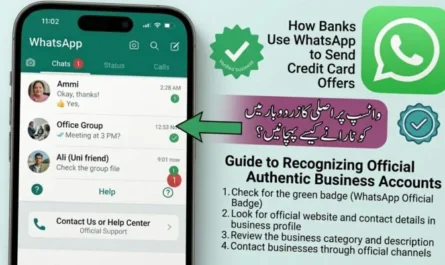 How Banks Use WhatsApp to Send Credit Card Offers